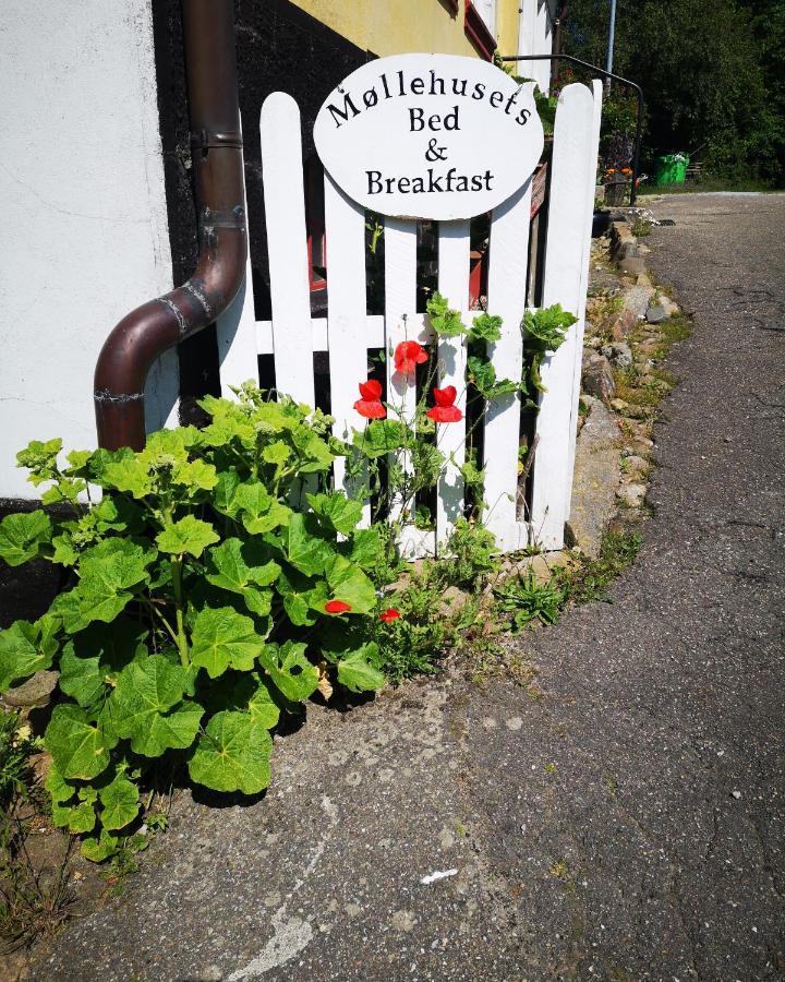 Mollehusets Bed & Breakfast Nordborg Luaran gambar