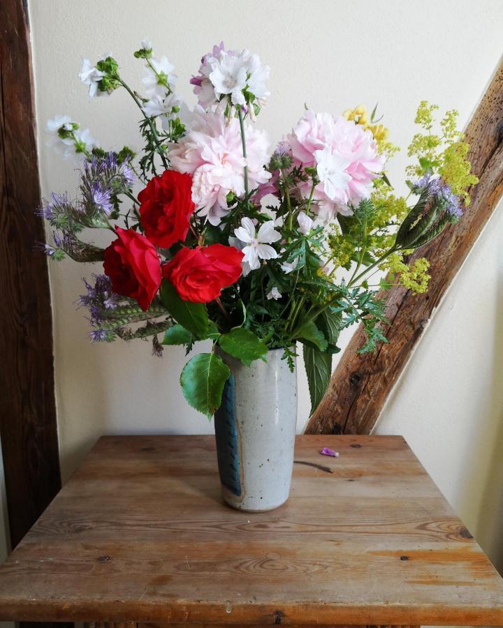 Mollehusets Bed & Breakfast Nordborg Luaran gambar