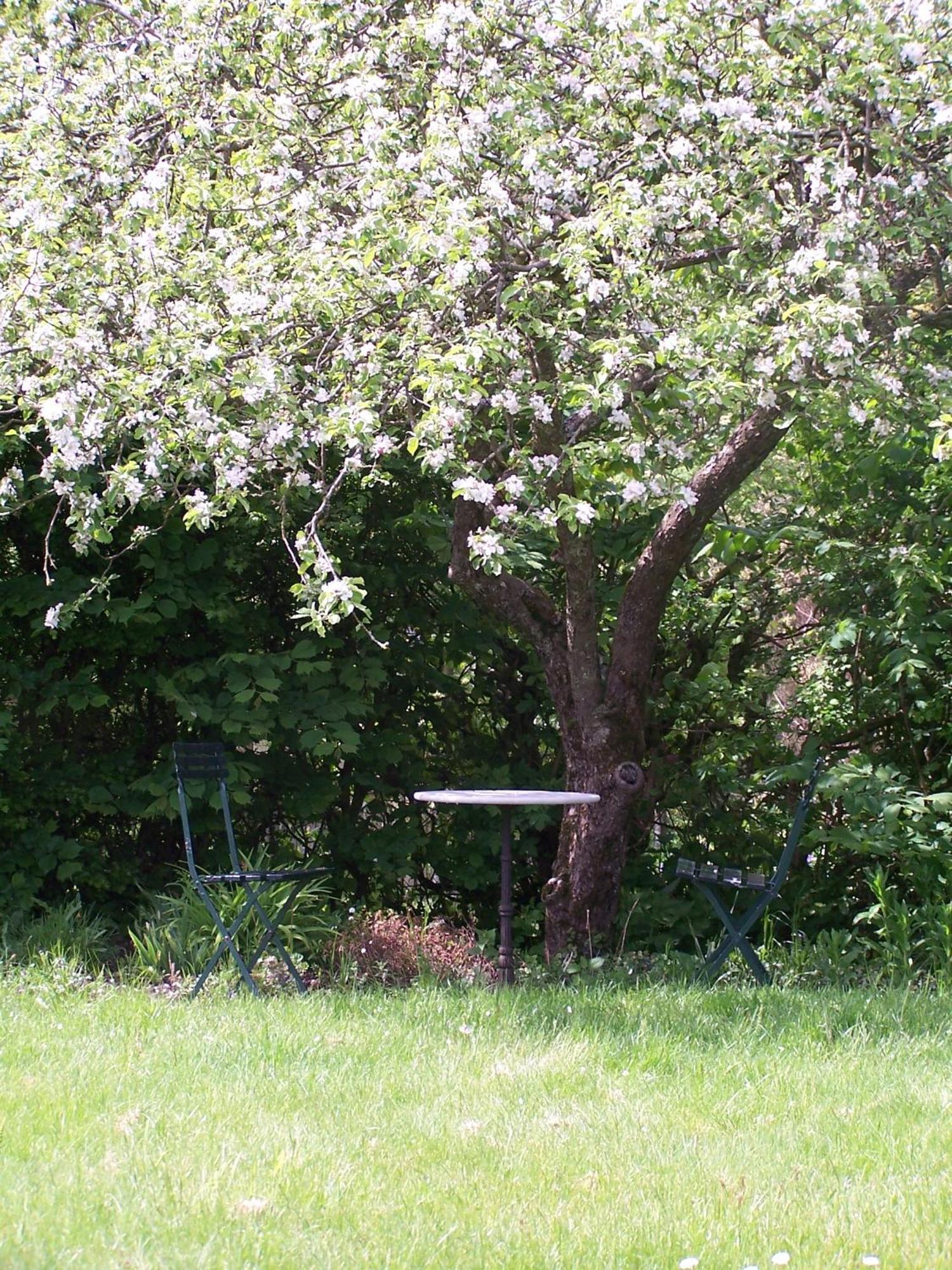 Mollehusets Bed & Breakfast Nordborg Luaran gambar